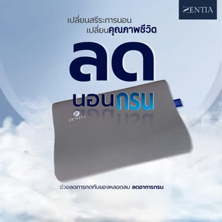 ZENTIA หมอน Memory Foam ซิปถอดซักได้ ลดปวดคอ ไม่เป็นแหล่งเชื้อแบคทีเรีย [MM-02]