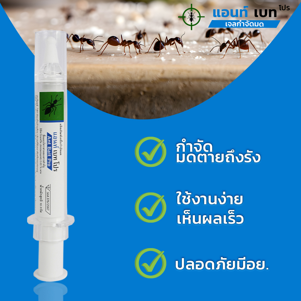 Ant Bait Pro แอนท์ เบท โปร  เจลมด เหยื่อมด ราคา ถูกที่สุด ดีลบีเคเค แกลเลอรีภาพที่ 2