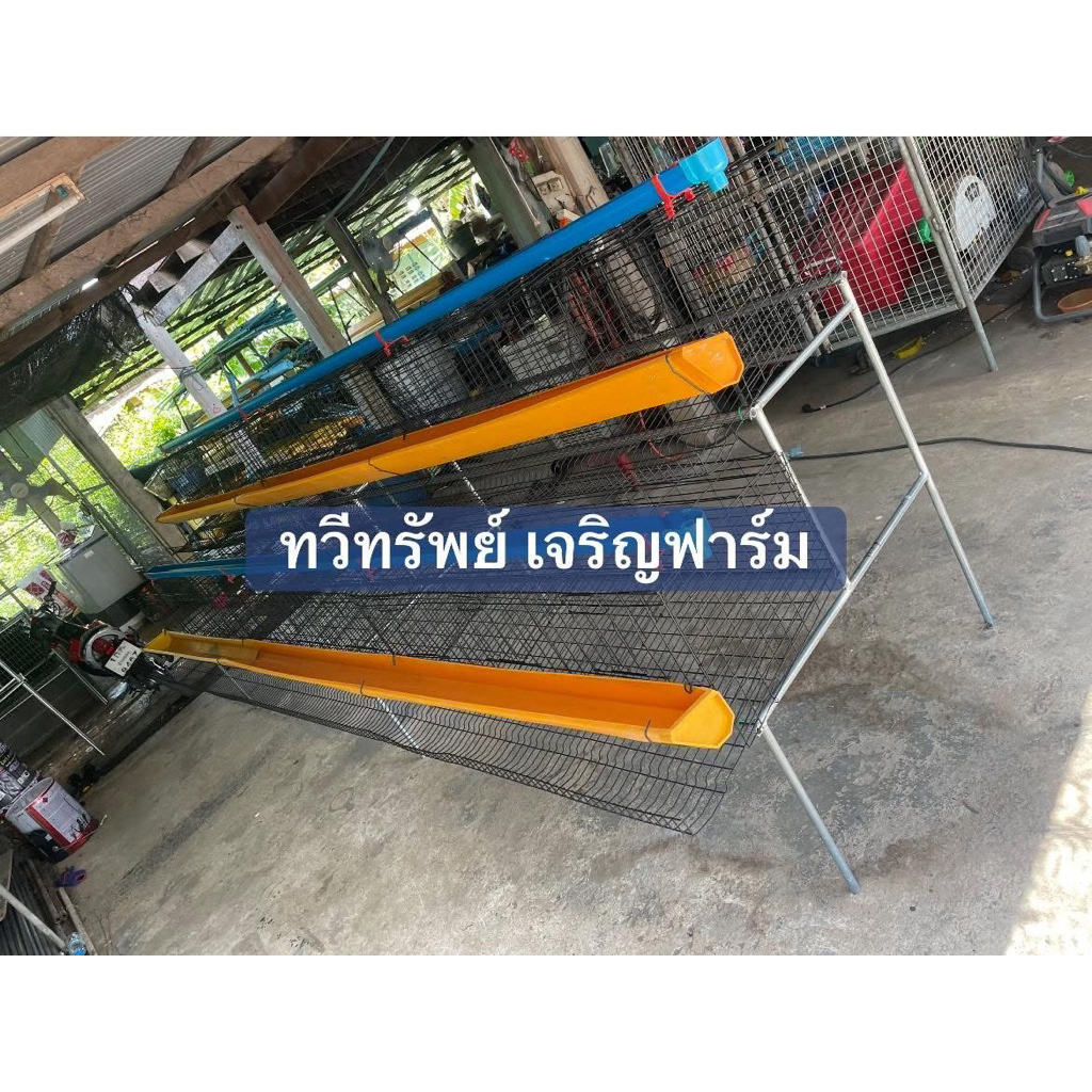 กรงไก่ไข่ มือสอง ชุดเลี้ยงไก่ได้54ตัว พร้อมอุปกรณ์ครบชุด - รูปที่ 2