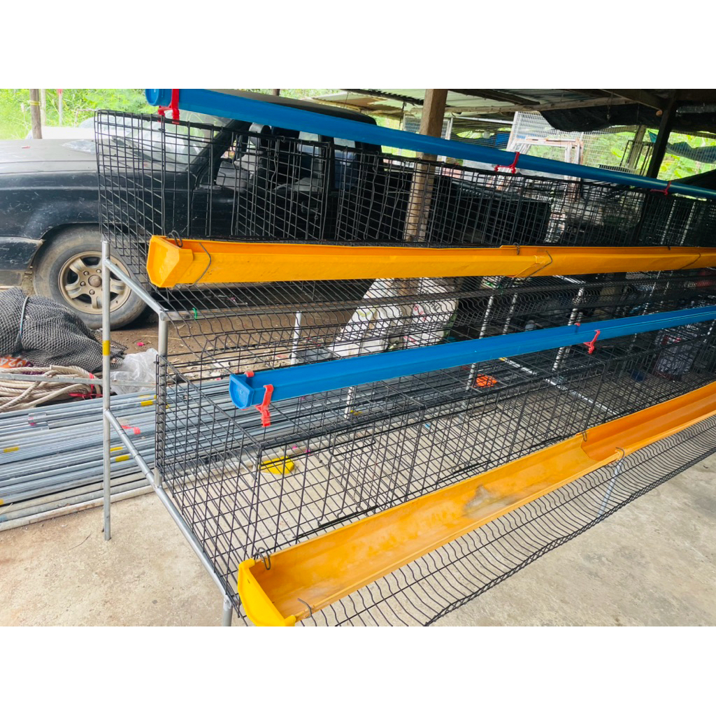 กรงไก่ไข่ มือสอง ชุดเลี้ยงไก่ได้54ตัว พร้อมอุปกรณ์ครบชุด - รูปที่ 5