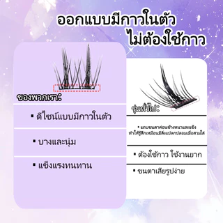 ขนตาปลอมพร้อมกาวในตัว หลายสไตล์ หลายขนาด ขนตาปลอมแบบช่อ ใช้ง่าย พกพาสะดวกขนตาปลอมแบบมีกาวในตัว