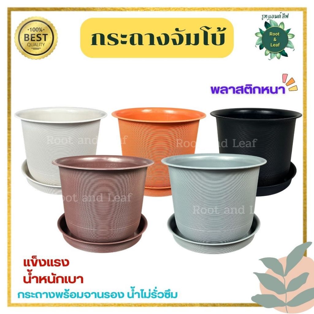 กระถางจัมโบ้ กระถางมินิมอล มีหลายขนาด หลายสี กระถางพลาสติกเกรด A แข็งแรงทนทาน ไม่รั่วซึมมีจานรอง สินค้าพร้อมส่ง
