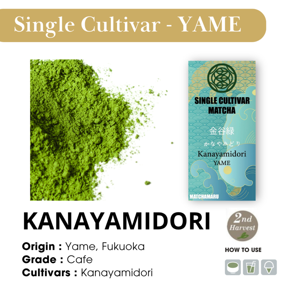 Yame - Kanayamidori : Cafe grade matcha 100% : Single cultivar
