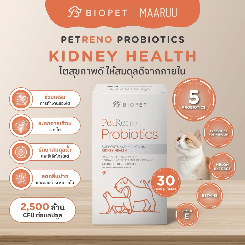PetReno Biopet  Probiotics สูตร Kidney Health ดูแลสุขภาพไต ชะลอการเสื่อมของไต โพรไบโอติกส์สำหรับสัตว์เลี้ยงหมา แมว