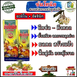 ซันโทนิค สารเสริมการเติบโต แบบเข้มข้น (อะมิโน+อัลจินิค) ยืดช่อ ดึงดอก ขั้วเหนียว ลดการหลุดล่วง ติดผลดก