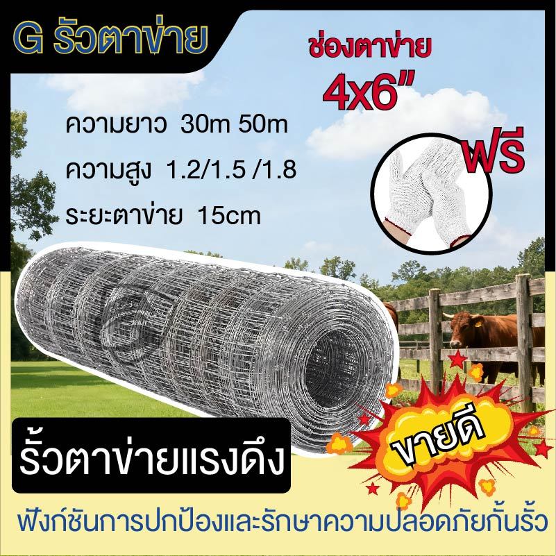 ส่งฟรี!รั้วตาข่ายถักปม(4X6) รั้วแรงดึง (120cm-180cm ยาว30/50เมตร) ลวดเหล็กตาข่าย ทนสนิม ฟาร์ม วัว แกะ