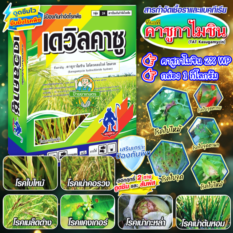 เดวิลคาซู คาซูกาไมซิน 2% WP ขนาด 1 กิโลกรัม ยาเชื้อรา กำจัดโรค ใบไหม้ กาบใบแห้ง โรคใบจุด เมล็ดด่าง