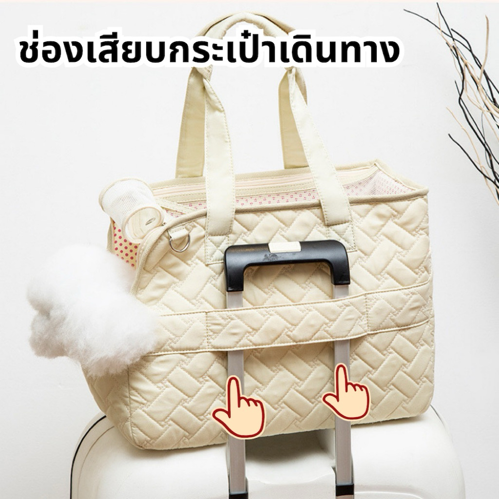 petcare (ส่งจากไทย) #ลายไทย 🇰🇷 กระเป๋าเเมวกระเป๋าหมาระบายอากาศได้ดีสีโปร่งใส สไตล์เกาหลี เเมว สุนัข กระเป๋าเป้สะพายหลัง รูปที่ 4