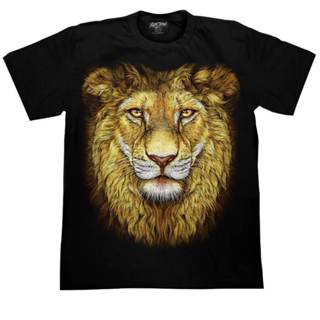 เสื้อยืดสกรีนเรืองแสง ROCK CHANG GR691