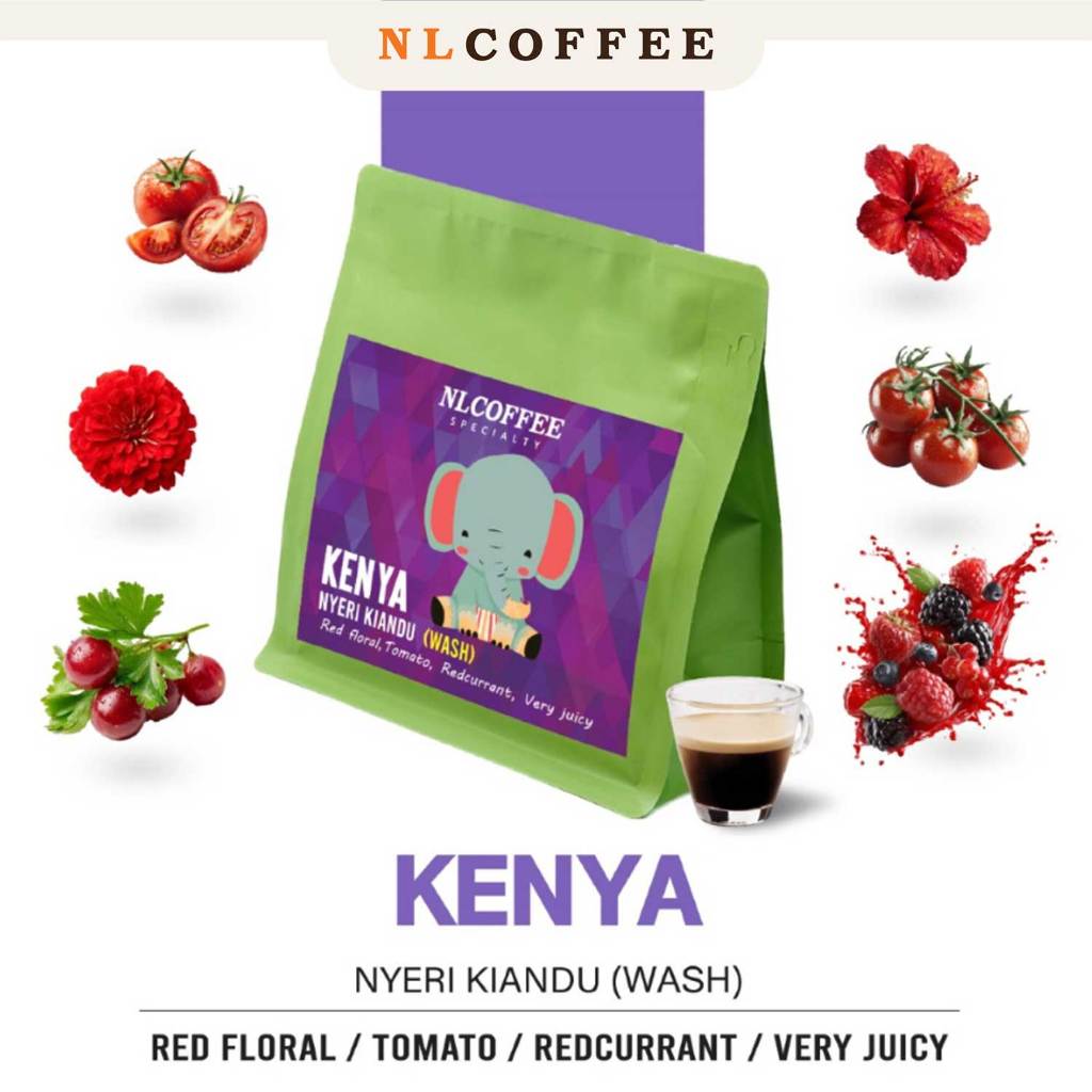 NLCOFFEE SPECIALTY เมล็ดกาแฟ Kenya Nyeri Kianbu (Wash) 200กรัม