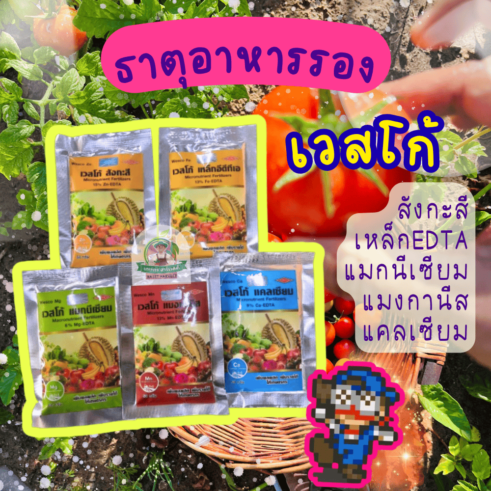 ปุ๋ย ธาตุอาหารรอง 50 กรัม 👉อ่านรายละเอียดก่อนซื้อ สังกะสี เหล็ก แมกนีเซียม แมงกานีส แคลเซียม นิคสเปรย์ อามิโกลด์80