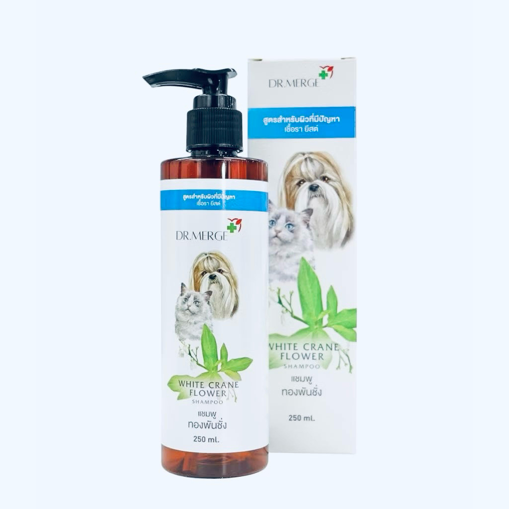 DR.MERGE แชมพูทองพันชั่ง สูตรสำหรับผิวที่มีปัญหา เชื้อรา ยีสต์ สำหรับสุนัขและแมว(250ml)ล็อตใหม่