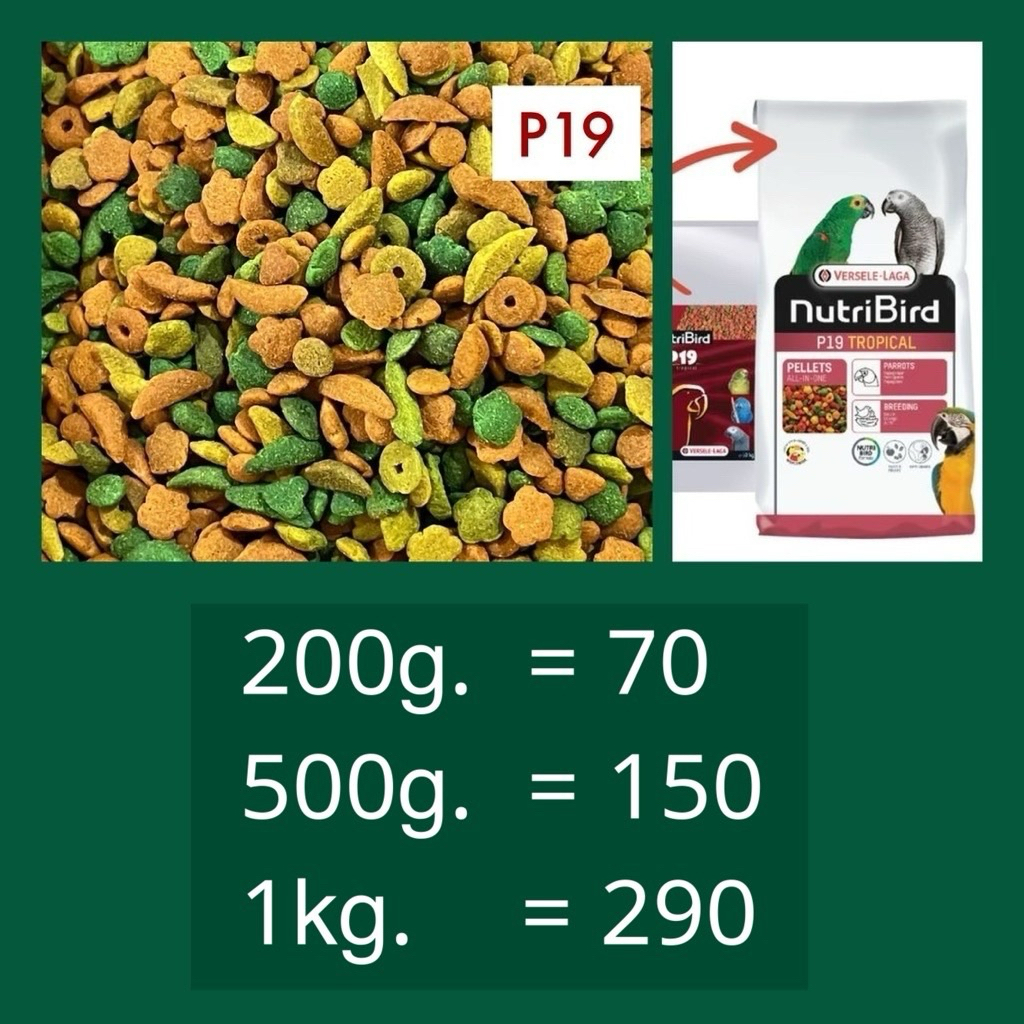 🅺🅺🅵 (แบ่งบรรจุ) NutriBird P19 tropical อาหารนก นูทรีเบิร์ดพี19