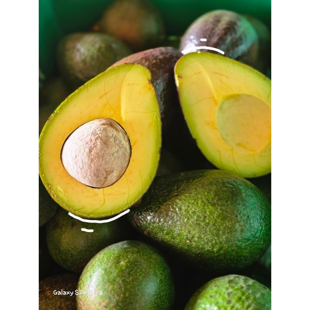 🥑อาโวคาโด #พันธุ์พื้นเมืองไทยคละทรง กิโลละ 50 บาท ***ขนาด 5-8/กก.*** รสชาติเหนียว มัน เนย หนึบ อร่อยมากๆจ้า