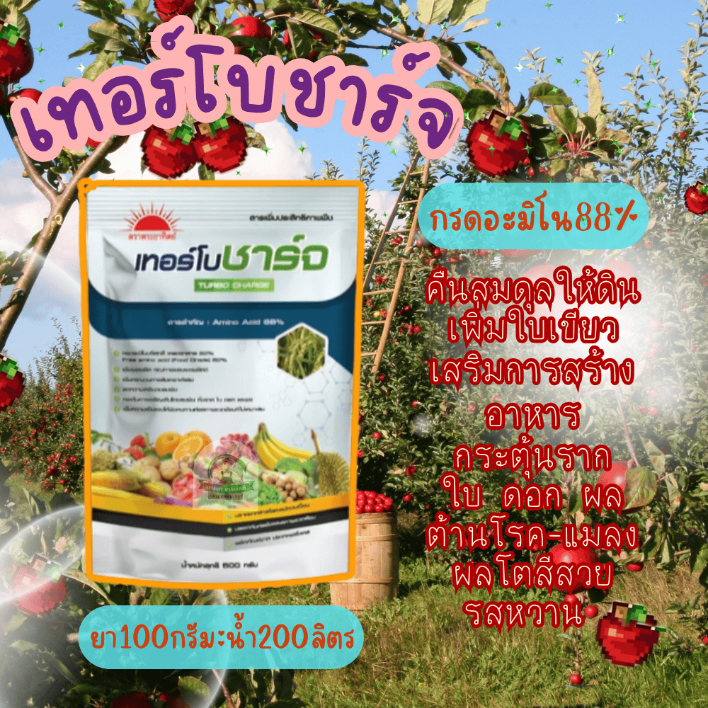 เทอร์โบชาร์จ 100 กรัม กรดอะมิโน 17 ชนิด พระอาทิตย์ ทีเจซี ปุ๋ย อาหารเสริม