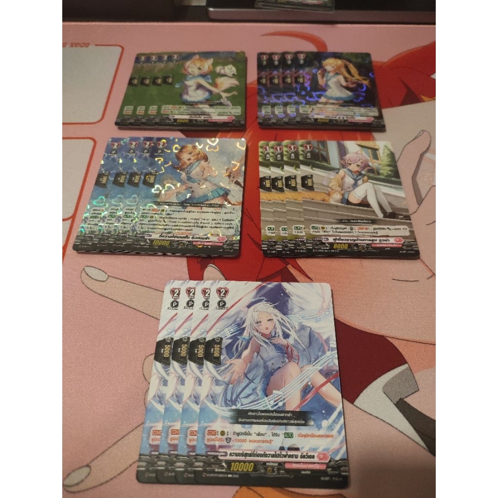 D-LBT03 แยกของเติมสายเพื่อนแบบครบเซ็ต