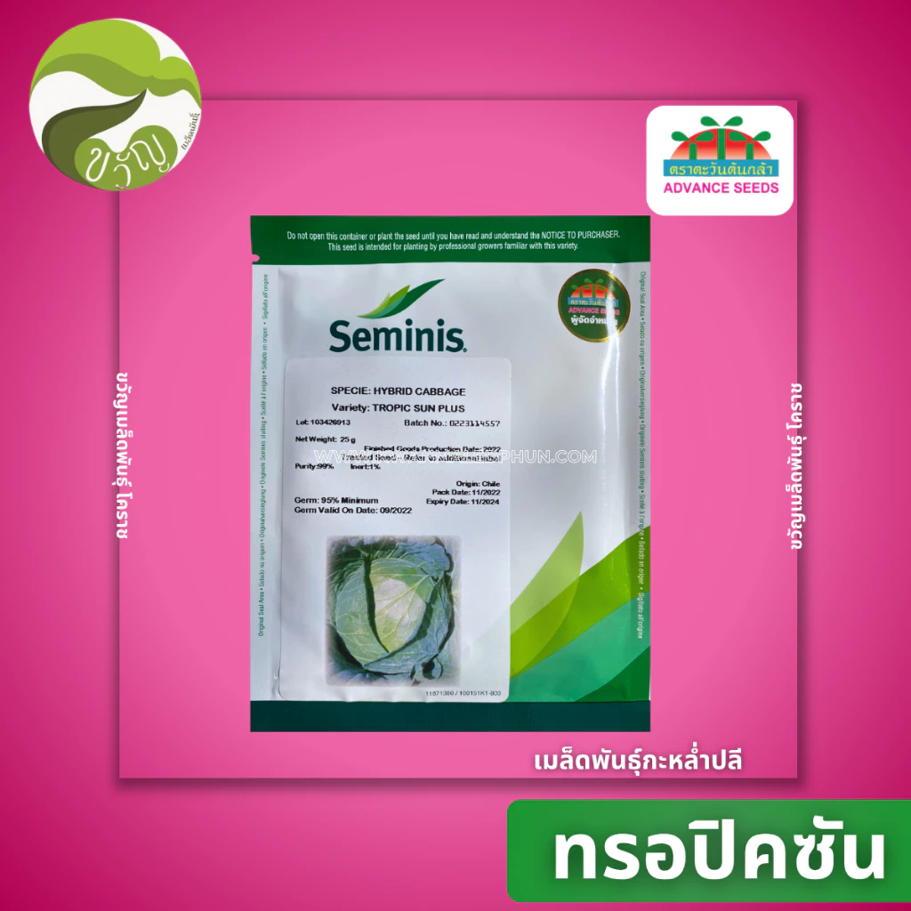 เมล็ดพันธุ์กะหล่ำ ทรอปิคซัน พลัส (Tropic Sun Plus) ขนาด 25 กรัม ลอตใหม่