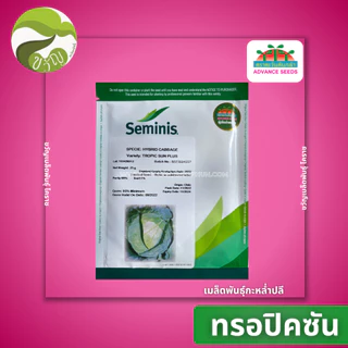 เมล็ดพันธุ์กะหล่ำ ทรอปิคซัน พลัส (Tropic Sun Plus) ขนาด 25 กรัม ลอตใหม่