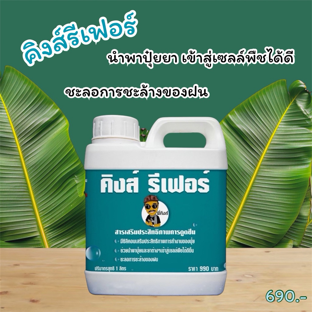 สารจับใบ (คิงส์ รีเฟอร์)