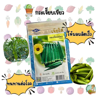 กระเจี๊ยบเขียว CT/OP-017 ผักซองเจียไต๋ เมล็ดพันธุ์ผัก กระเจี๊ยบ เมล็ดพืชผักสวนครัว ซองประมาณ 75เมล็ด