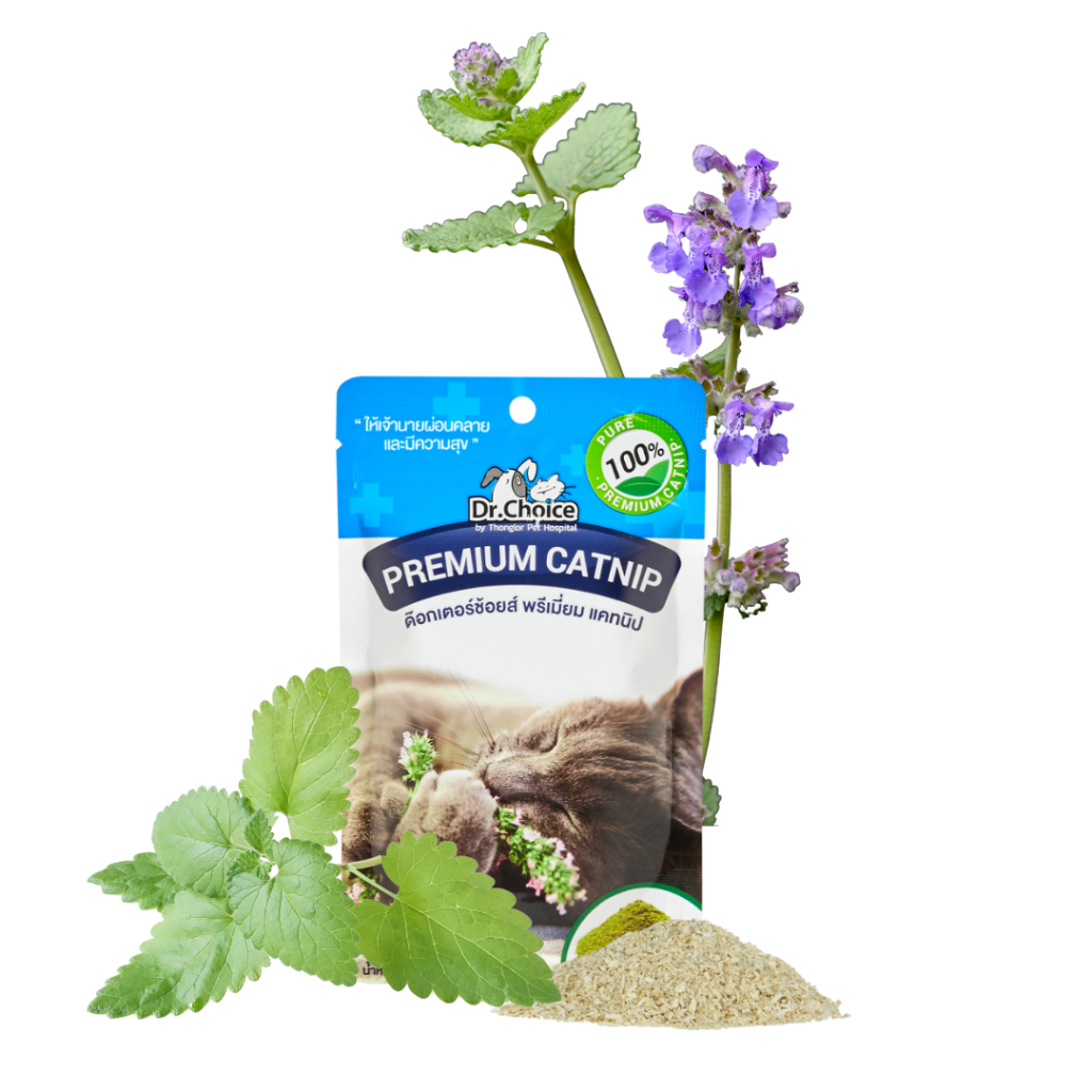 Premium Catnip dr. choice 20g