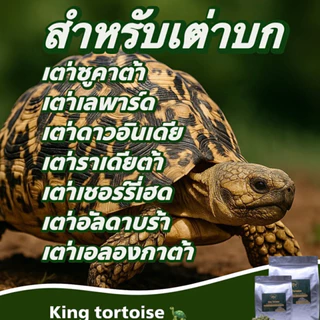 อารหารเต่าบก King Turtle ยกกระสอบ แบบคุ้มสุดๆ