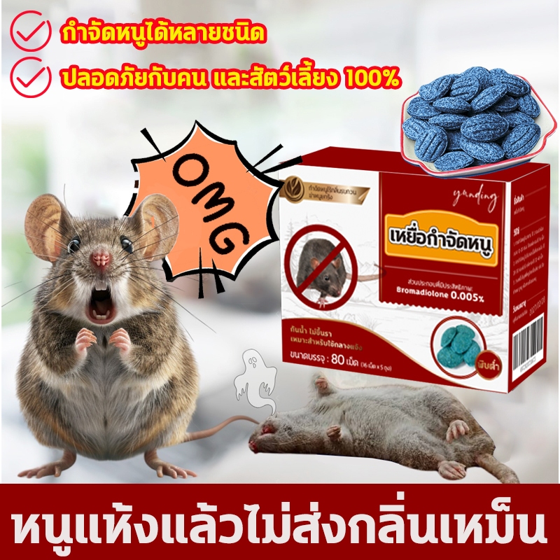 ✅1 คืน หนูตายหมด✅ยากำจัดหนู เหยื่อกำจัดหนู เหยื่อหนู เบื่อหนู 260กรัม ผลลัพธ์ที่รวดเร็ว รับประกันสินค้า ของแท้ 100%