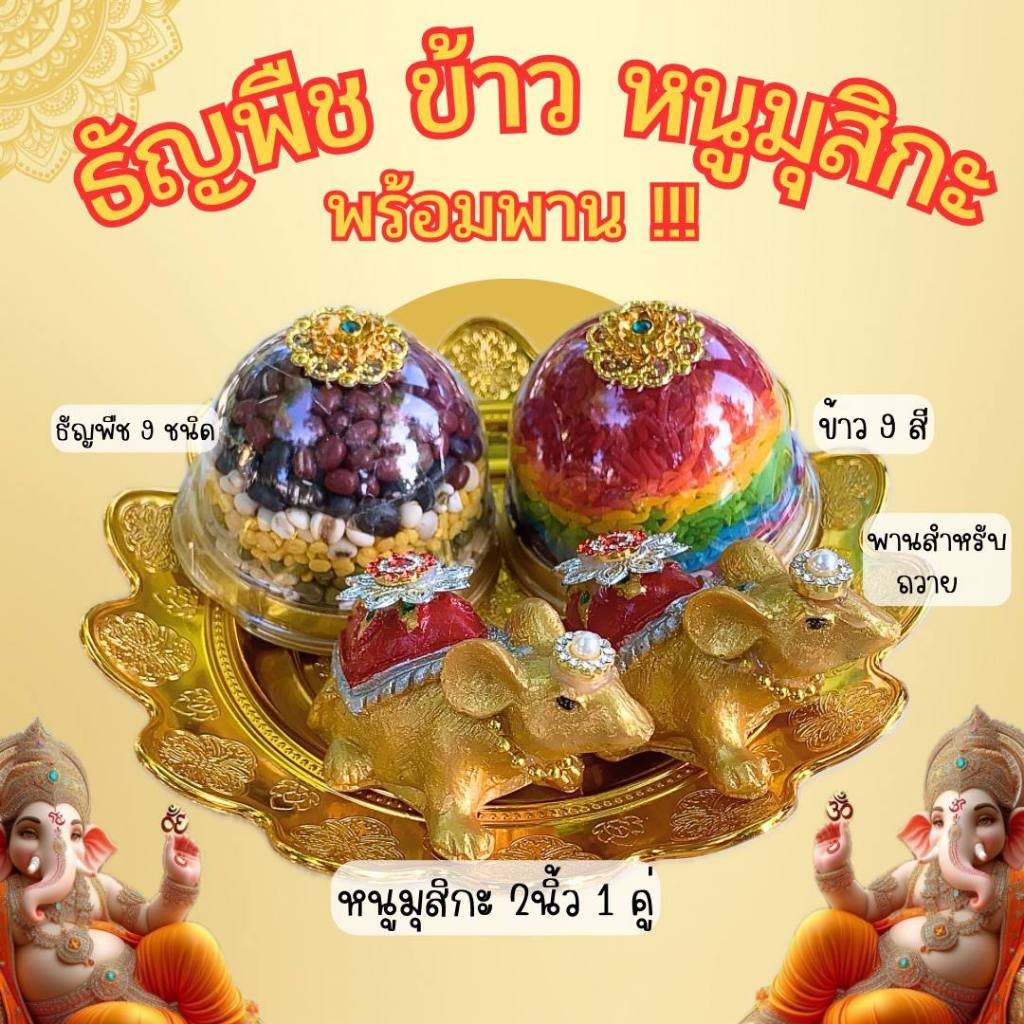 ชุดไหว้พระพิฆเนศ หนูมุสิกะ ข้าว 9 สี ธัญพืช 9 ชนิด