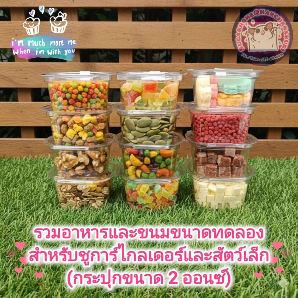 (กระปุก 2 ออนซ์) อาหารและขนมชูการ์ไกลเดอร์ ขนาดทดลอง