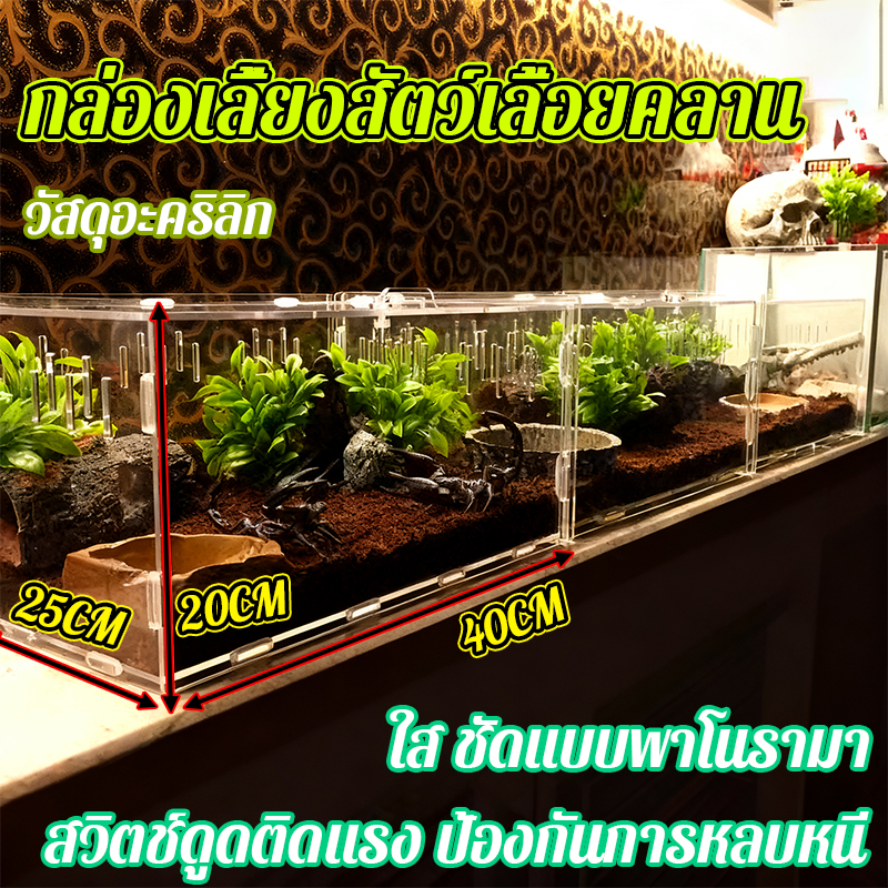 กรงอะคริลิค กล่องเลี้ยงสัตว์เลื้อยคลาน เลี้ยงสัตว์ กรง กบ​ งู​ แมลงเต่าทอง​​ กิ้งก่า​ เก๊กโค​ แมงมุม