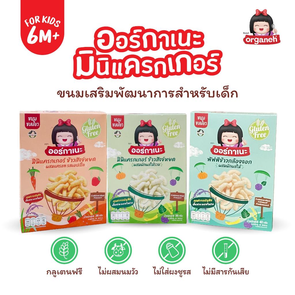 มินิแครกเกอร์ 3 กล่อง (g6pdทานได้)พัฟฟ์ ผลไม้รวม แครอท