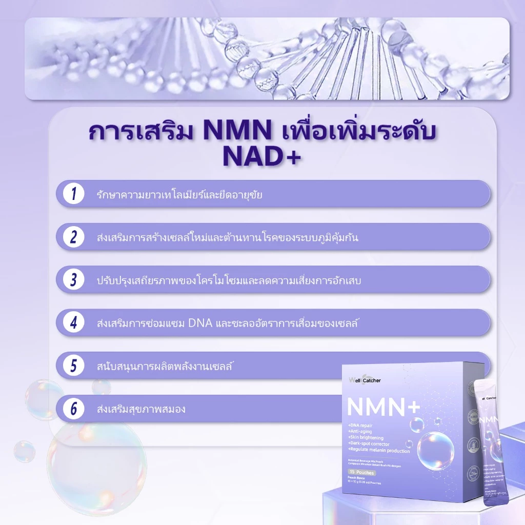 Wellcatcher NMNREV500 ผลิตภัณฑ์เสริมอาหาร thumbnail 5
