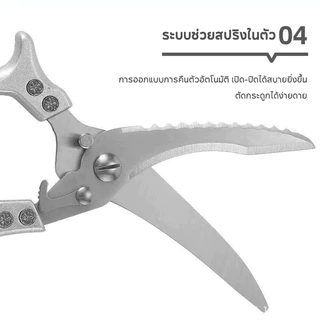 【อเนกประสงค์】กรรไกรตัดอาหาร สแตนเลส ตัดกระดูกไก่ กรรไกรทำครัว แข็งแรง ทนทาน