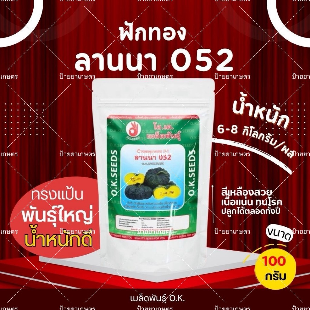ฟักทองลูกผสม ลานนา 052 ขนาด100กรัม ตราโอเคซี๊ด ลูกใหญ่ ผิวคางคก