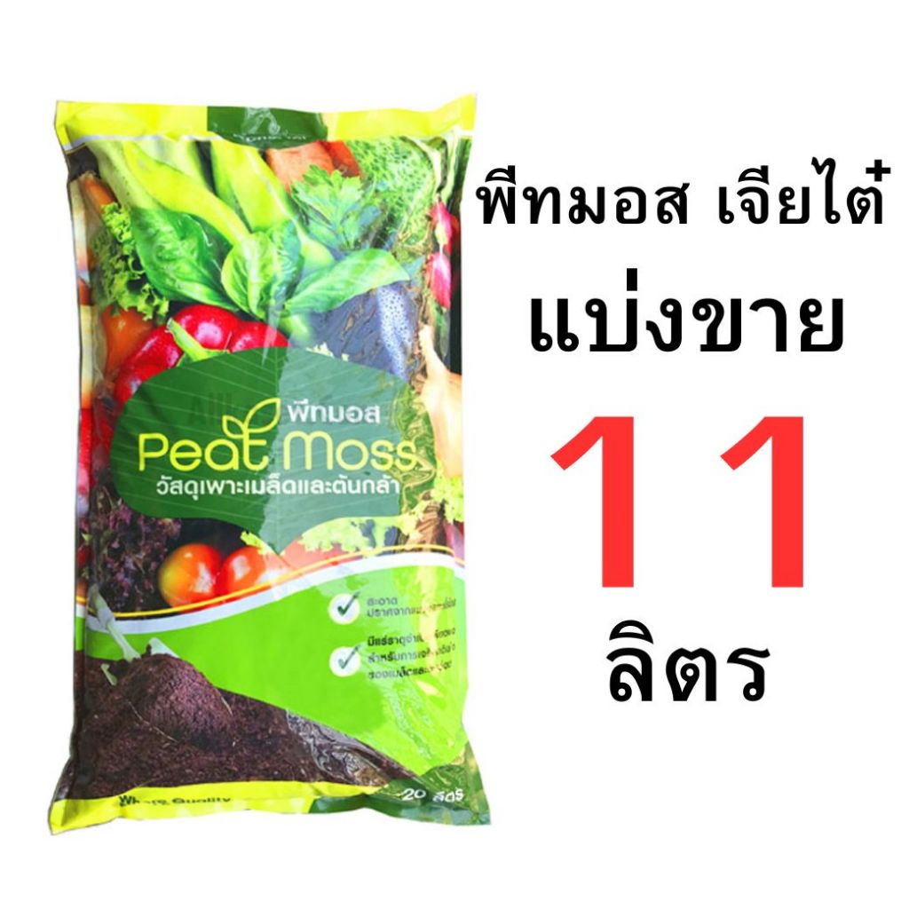 รูปภาพ 7