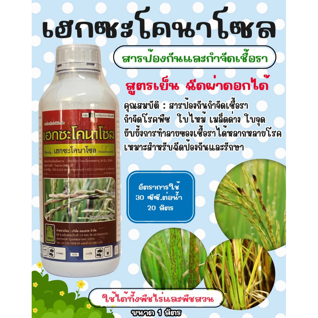 (รักษ์เกษตร)🌾 เฮกซะโคนาโซล สูตรเย็น ฉีดผ่าดอกได้ ‼️ป้องกันเชื้อรา ใบจุด ใบด่าง แอนแทรกโนส 1ลิตร