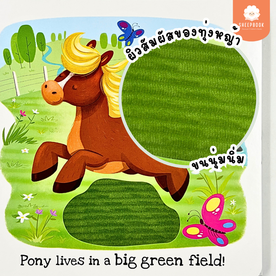 บอร์ดบุ๊คผิวสัมผัส What Does Pony Like? กระดาษแข็งทุกหน้า G1B1 - รูปที่ 6