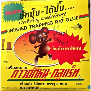 [ยกลัง]ถาดกาว ดักหนู GLUE RAT 24 ถาด 12 กล่อง กาวดักหนูสำเร็จรูป กาวดักหนูเหนียวพิเศษ mouse trap