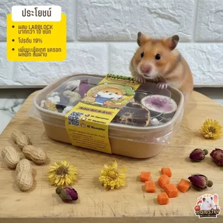 Hamster Harvest อาหารผสมสำหรับแฮมเตอร์ ส่วนผสมจากแบรนด์ดังมากกว่า10 ชนิด ผสมผักผลไม้ประโยชน์ครบถ้วน