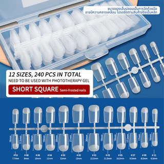 Nawoelite ทำเล็บ เล็บปลอม pvc เล็บปลอมติดง่าย "เล็บปลอม PVC แพ็คใหญ่ 240 แผ่น แบบบาง+โค้งธรรมชาติ ใช้ง่ายทุกโอกาส"