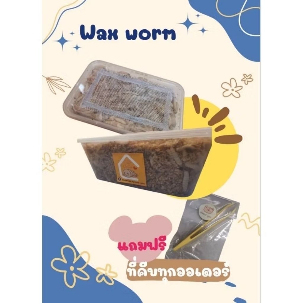 *สำหรับลูกค้าสั่งจอง* เสริมอาหารสัตว์เลี้ยง อาหารสัตว์ exotic pet อาหารชูก้า