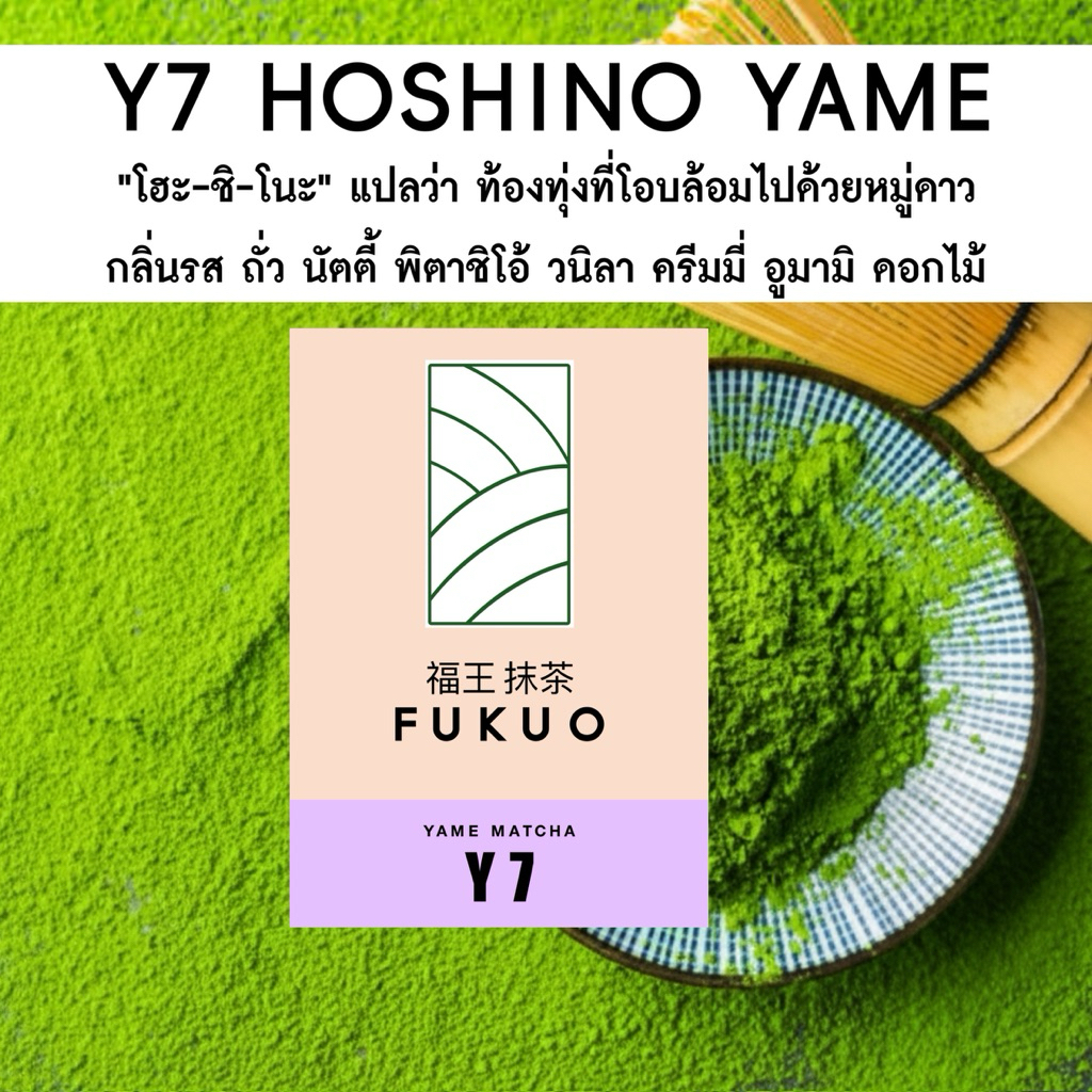 (Fukuo) Y7 HOSHINO YAME Ceremonial grade มัทฉะ โทนถั่ว จากญี่ปุ่น 🇯🇵 ของแท้ เกรดพิธีการ
