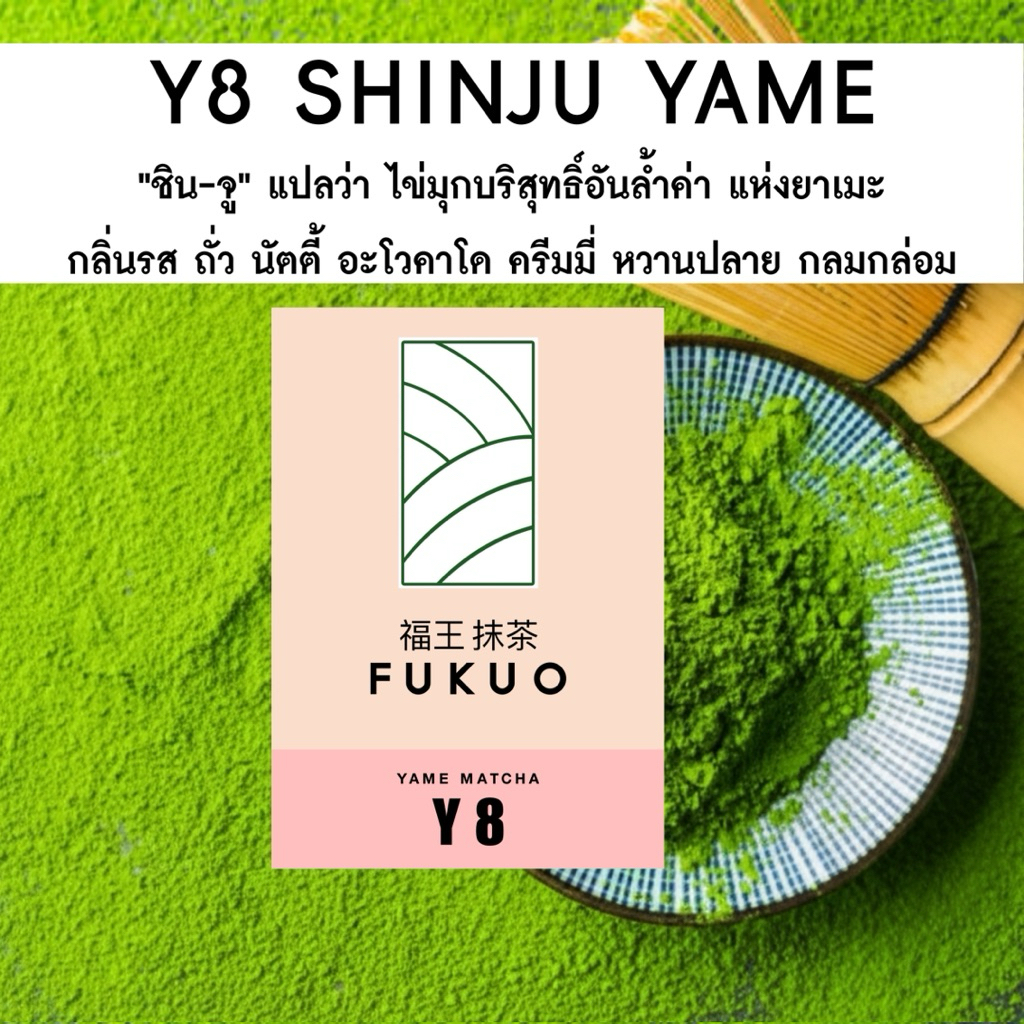 มัทฉะ (Fukuo) Y8 SHINJU YAME Matcha Ceremonial grade มัทฉะ โทนถั่ว จากญี่ปุ่น 🇯🇵 ของแท้ เกรดพิธีการ