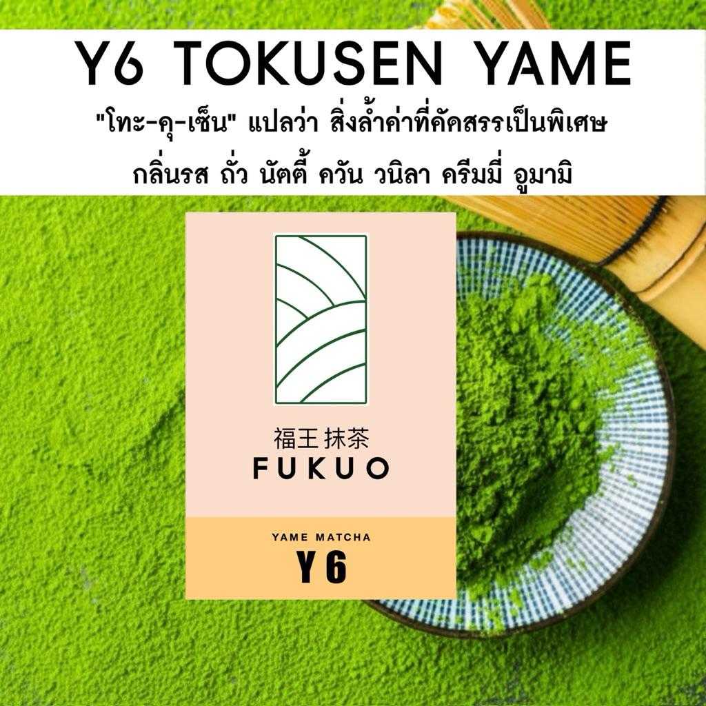 มัทฉะ (Fukuo) Y6 TOKUSEN YAME Matcha Ceremonial grade มัทฉะ โทนถั่ว จากญี่ปุ่น 🇯🇵 ของแท้ เกรดพิธีการ
