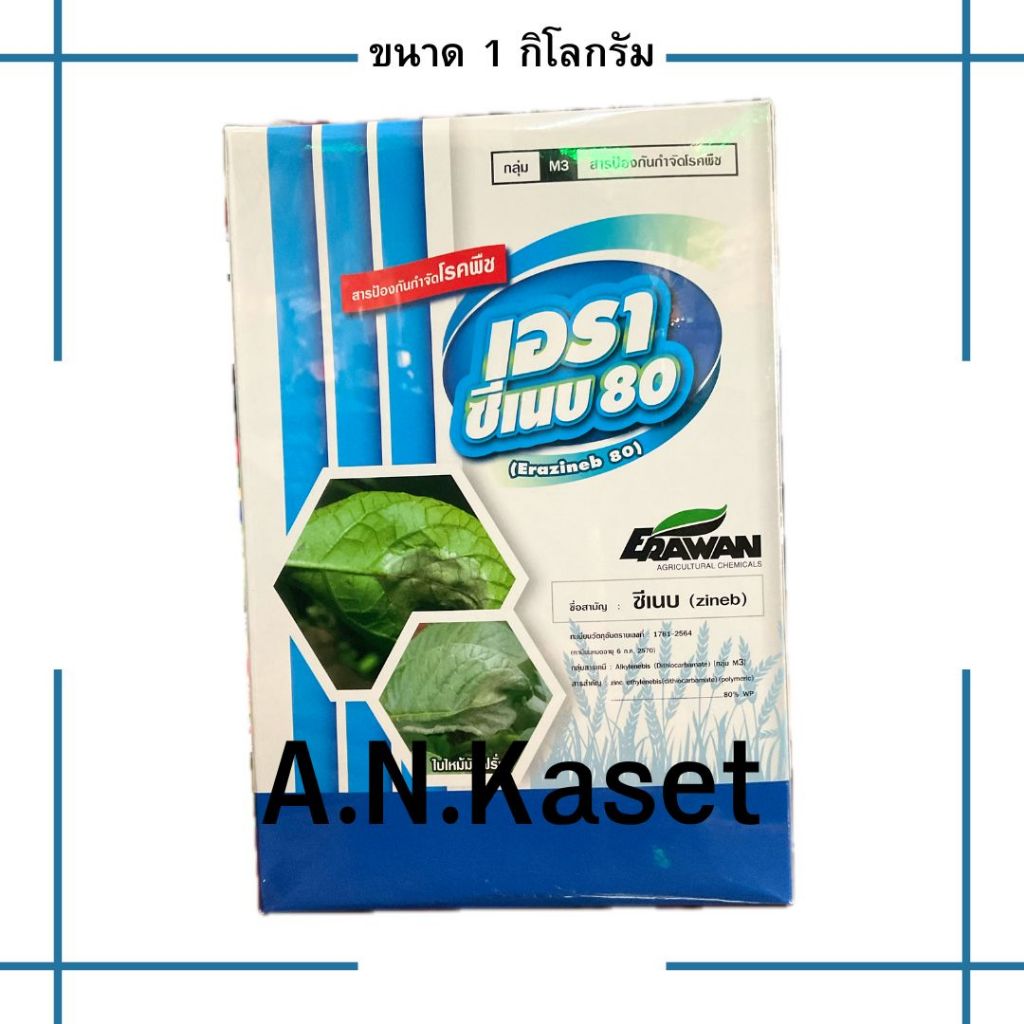 เอราซีเนบ 1กก.(ซีเนบ) สารปเองกันกำจัดโรคราแป้ง ใบไหม้ ในแตงโม แตงกวา ช่วยให้เขียวปลอดเชื้อรา