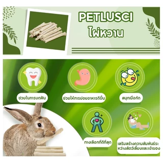 ไผ่หวาน Sweet Bamboo 500g ขนมลับฟัน ธรรมชาติ สำหรับ กระต่าย เม่นแคระ หนูแฮมเตอร์ และสัตว์ฟันแทะอื่น