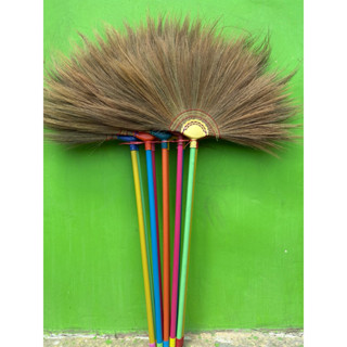 ไม้กวาดดอกหญ้าด้ามพลาสติก(ยกมัด10ด้าม)