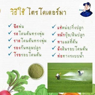 ไตรโคเดอร์มา Gongza กำจัดเชื้อรา รากเน่า โคนเน่า ไฟทอปธอรา แอนแทรคโนส ชีวภัณฑ์เกษตรอินทรีย์ ปลอดภัยต่อคน สัตว์เลี้ยง โลก