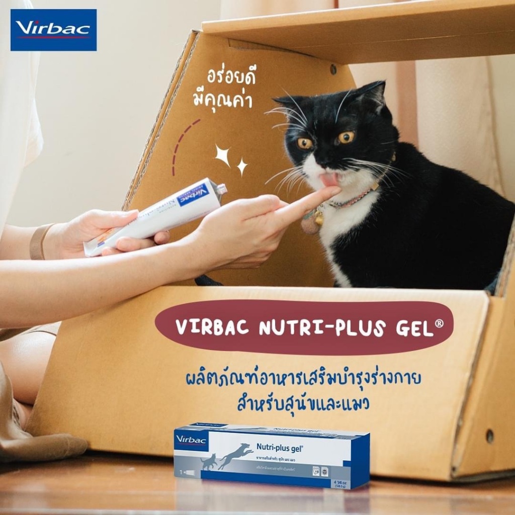 รูปภาพ 5