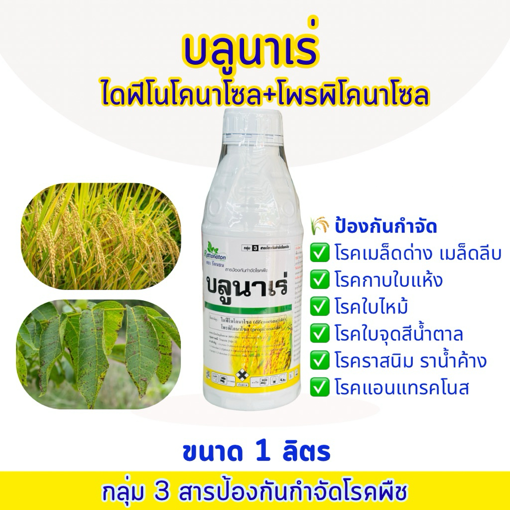 บลูนาเร่  (ไดฟีโนโคนาโซล+โพรพิโคนาโซล) ขนาด 1 ลิตร ป้องกันและรักษาโรคเมล็ดด่าง เมล็ดลีบ โรคกาบใบแห้ง โรคราสนิม ราน้ำค้าง